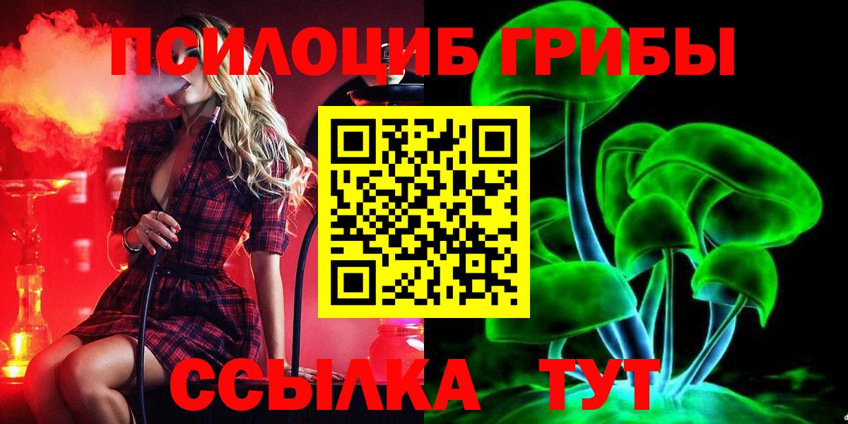 Тайшет  Галлюциногенные грибы Magic Shrooms  Вход с VPN 